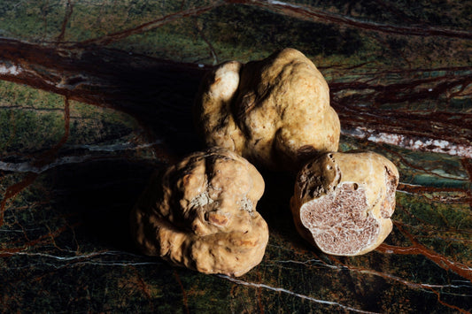White Truffles
